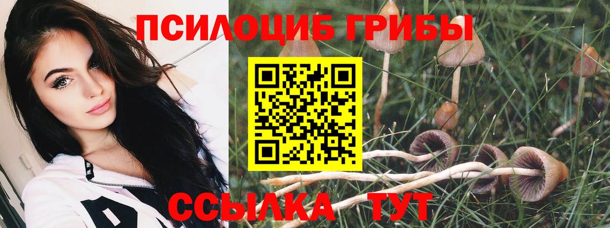 Галлюциногенные грибы Cubensis  Вход с VPN  Магадан 