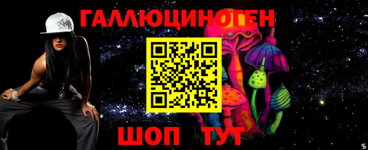 Галлюциногенные грибы Psilocybine cubensis Магадан